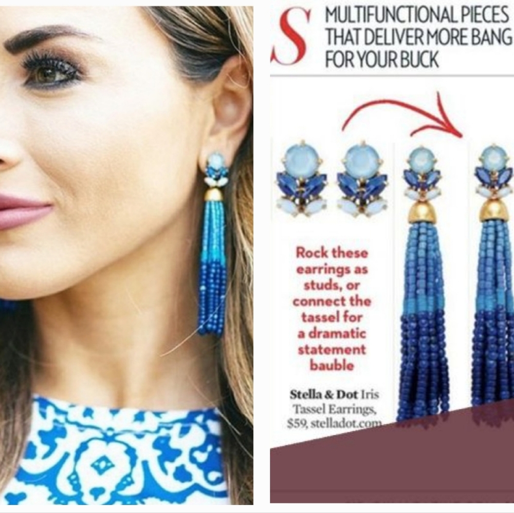 Stella and Dot Iris Tassel Interchangeable Earrings